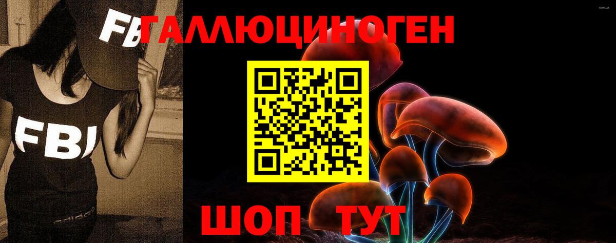 Камышин  Галлюциногенные грибы MAGIC MUSHROOMS  Вход с VPN  Псилоцибиновые грибы ЛСД 
